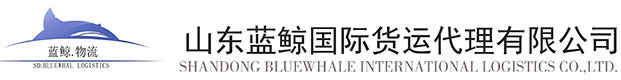 山东蓝鲸国际货运代理有限公司